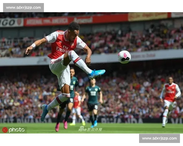 亨德森:带信心闯酋长球场,水晶宫要造冷 亨德森:带信心闯酋长球场,水晶宫要造冷