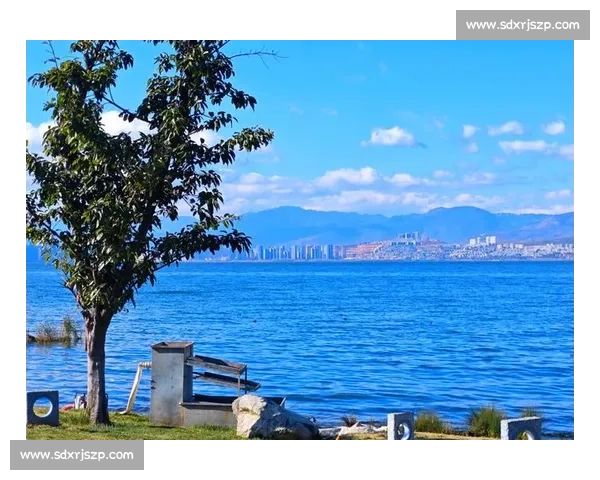 大理四季户外：骑行策马划艇逐风